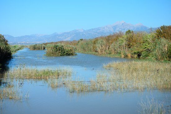 Natuurpark S'Albufera de Mallorca